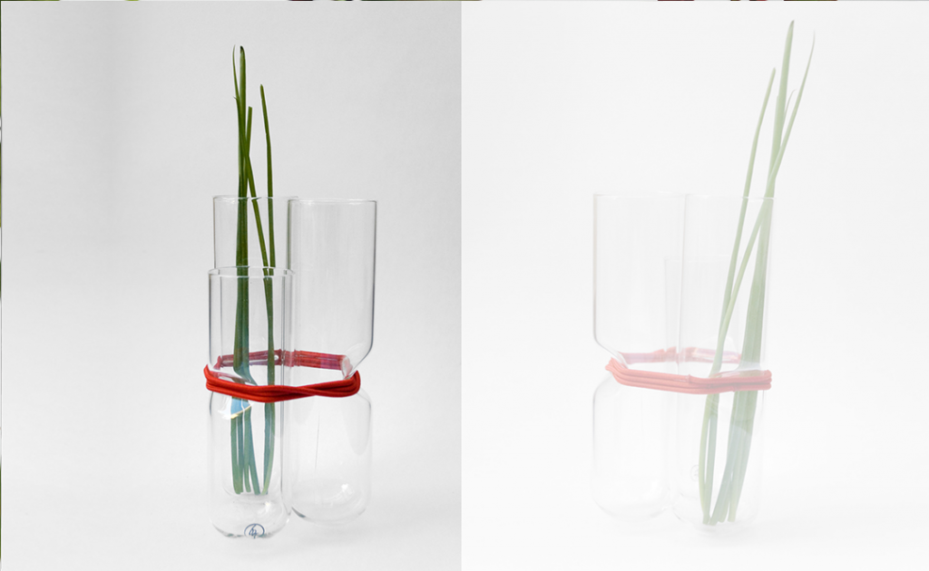 Group Vase (1) SeriesNemo