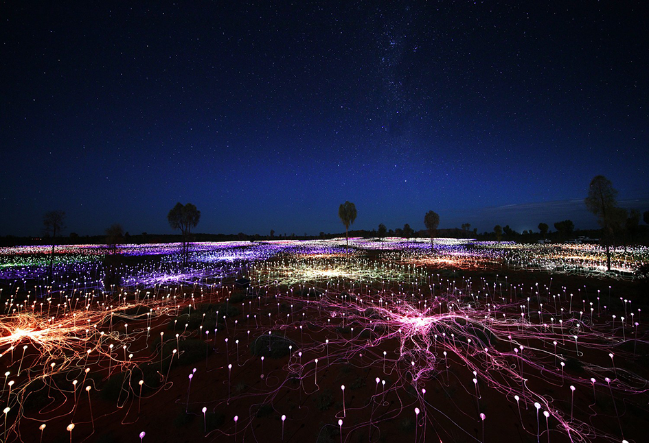 Field of lights